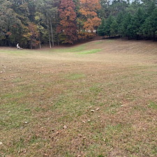 Routine-Lawn-Maintenance-in-Taylor-MS 3